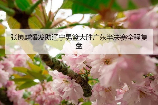 张镇麟爆发助辽宁男篮大胜广东半决赛全程复盘
