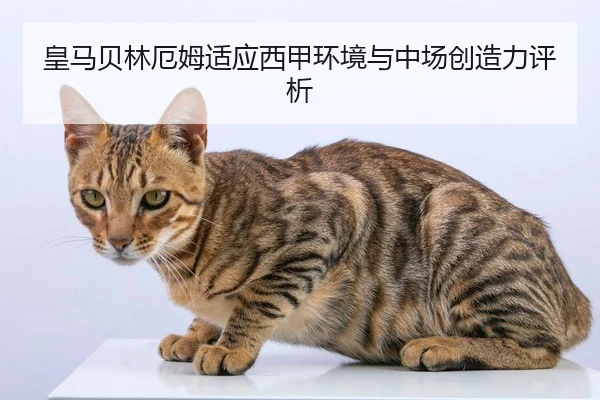 皇马贝林厄姆适应西甲环境与中场创造力评析